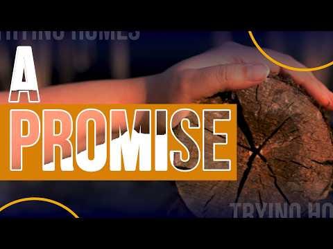 Build Your Dream Home with Tryino Homes | Where Dreams Turn Into Reality